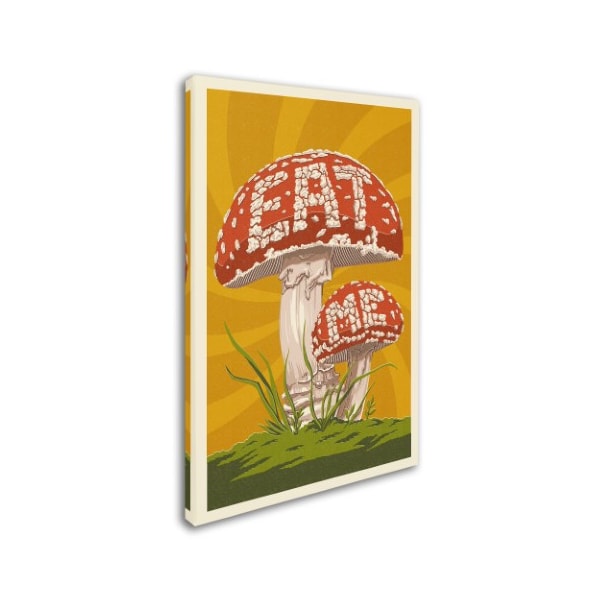 Lantern Press 'Mushroom' Canvas Art,12x19